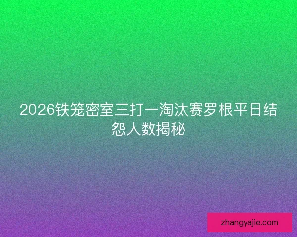 2026铁笼密室三打一淘汰赛罗根平日结怨人数揭秘