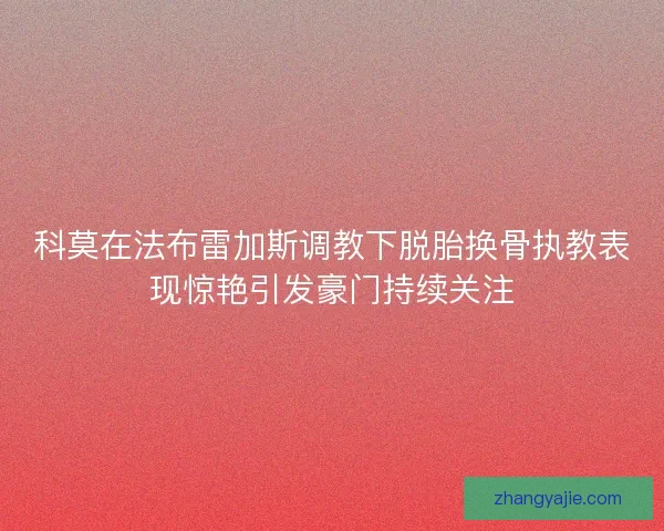 科莫在法布雷加斯调教下脱胎换骨执教表现惊艳引发豪门持续关注 科莫在法布雷加斯调教下脱胎换骨执教表现惊艳引发豪门持续关注